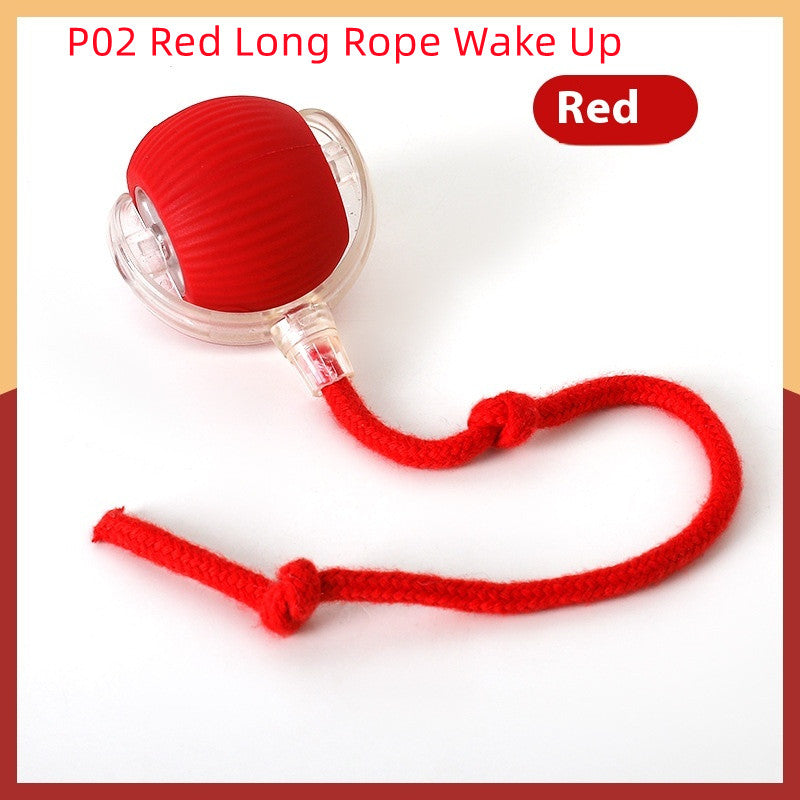 1cbdef78585e0e90b0e5c0ab3bdf05e5
